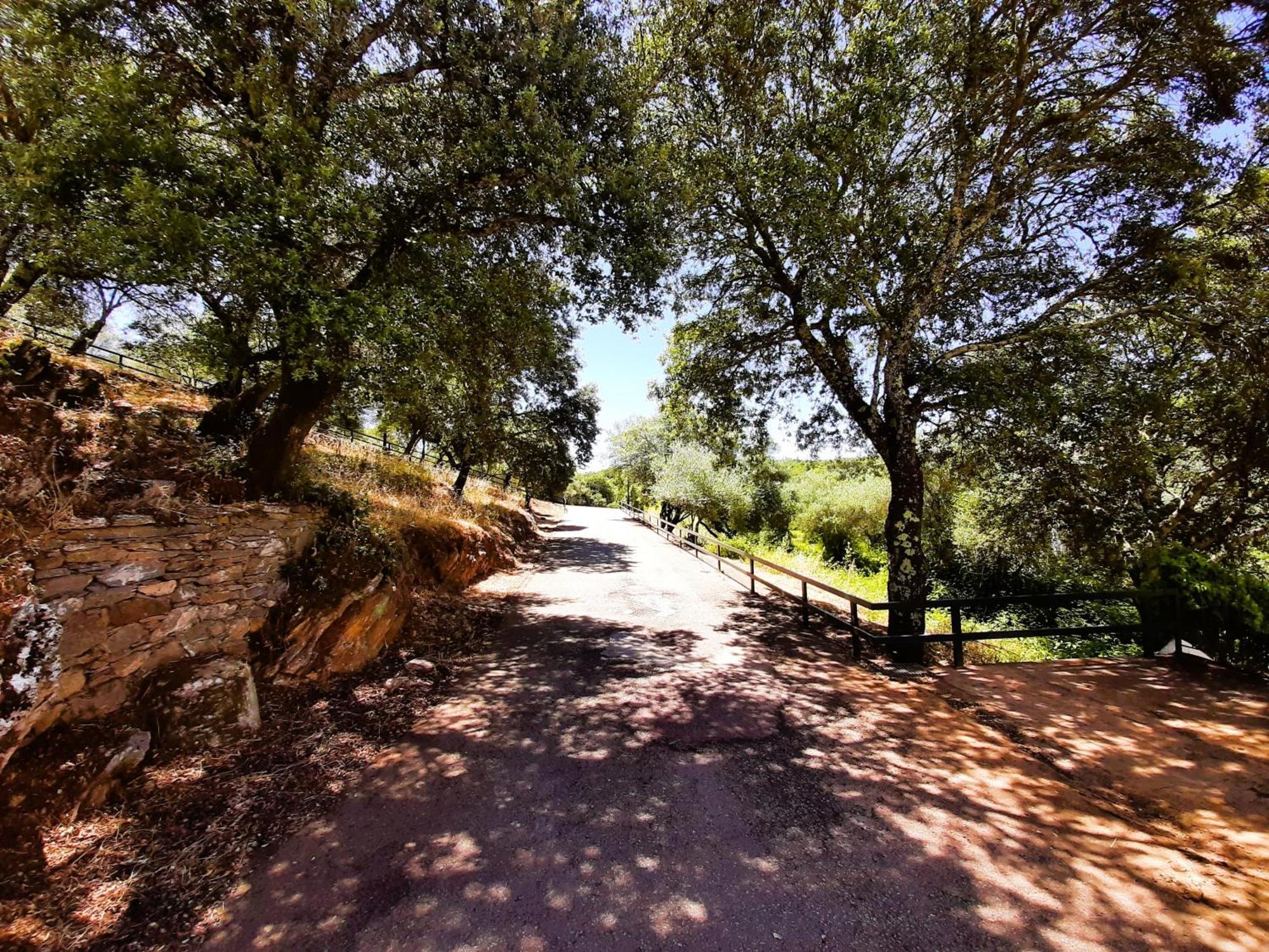 Casa Rural Gurumelo Aracena Extérieur photo